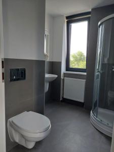 蒂米什瓦拉Casa Maria City Apartments的一间带卫生间、水槽和窗户的浴室