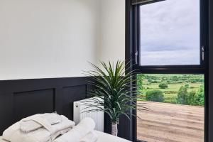 FeenyUmry-Calm Farm Stays的一间卧室配有床、植物和窗户