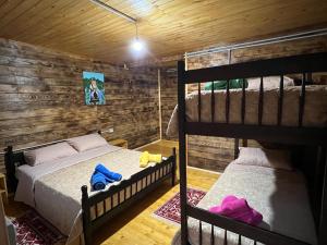 斯库台Guesthouse Zgiboza的木墙客房的两张双层床