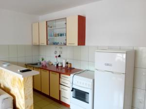 Trebjesa Apartment A的厨房或小厨房