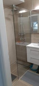 格拉达茨Apartments Miličević的带淋浴和盥洗盆的浴室