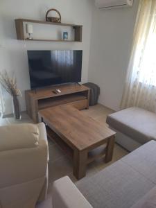 格拉达茨Apartments Miličević的客厅配有电视和茶几