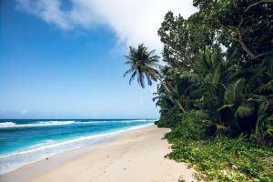 锡卢埃特岛塞舌尔拉布里兹希尔顿度假及Spa酒店的棕榈树和海洋的海滩