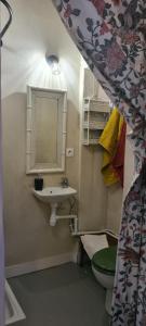 谢韦尔尼Cottages et B&B de Troussay的一间带水槽、卫生间和镜子的浴室