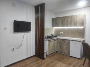 弗尔尼亚奇卡矿泉镇Petrović Apartman的一个带水槽的厨房和墙上的电视