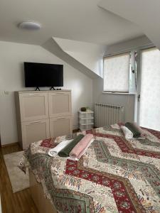 萨拉热窝Villa Mercurii的卧室配有一张床,墙上配有电视。