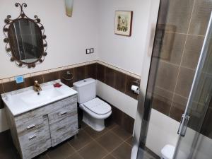 苏安塞斯Posada de Ongayo的浴室配有卫生间、盥洗盆和淋浴。