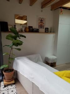 克莱蒙费朗Maison hypercentre calme, terrasse, garage, poêle的卧室配有白色的床和盆栽植物