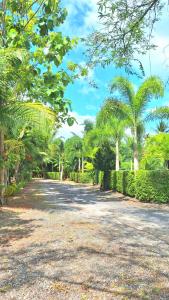 素叻阿曼特拉民宿度假村的一条种有棕榈树和围栏的砾石路