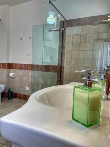 贡内萨Casa Nina的一间带水槽和绿色肥皂机的浴室