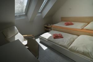 布拉迪斯拉发萨尔瓦托中心旅馆的小房间设有两张床和一张书桌