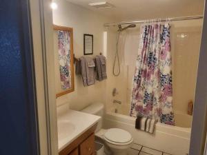 佩吉Tail Wind Life LLC的浴室配有卫生间、盥洗盆和淋浴。