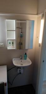 HällevadsholmHällevadsholm的浴室设有白色水槽和镜子
