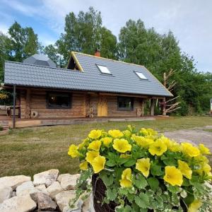 ReinaLepikumäe Holiday Home with Sauna and Hot tub for up to 16 persons的前面有黄色花的小木屋