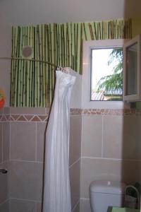 吕奥姆Maison proche rivière的带淋浴帘和卫生间的浴室