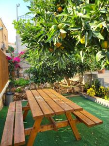 拿撒勒Maria's GuestHouse - Uphill View of Nazareth F的坐在橘子树前的木凳