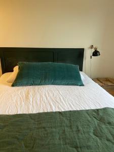 朗波普卢阿尔泽l'Aod, maison d'hôtes insulaire的床上有绿色枕头