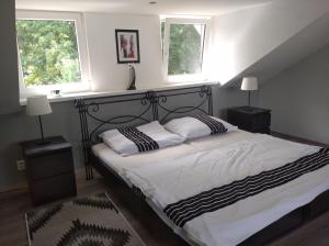 Mimoňu koupaliste的一间卧室配有带2个枕头的床和2个窗户。