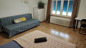 圣加仑City Home St Gallen的带沙发和地毯的客厅