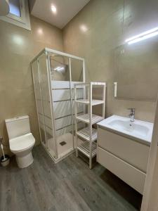 桑特费柳德吉克索尔斯Apartamento Forn Vell的一间带卫生间、水槽和镜子的浴室