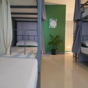 公主港Green Turtle Backpackers Guesthouse, Puerto Princesa的一间卧室设有两张双层床和绿色的墙壁