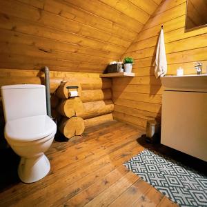 VidrižiKundziņu salas的小木屋内带卫生间的浴室