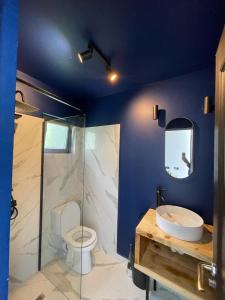 肯普隆格Campolongo Tiny Chalet的浴室配有卫生间、淋浴和盥洗盆。