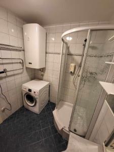 AusserfragantApartment Mölltaler Gletscher 1的带淋浴和洗衣机的浴室