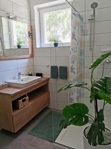 欧尔菲Life Apartman Orfű的浴室设有水槽、镜子和植物