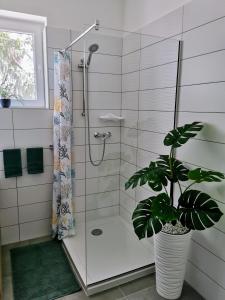 欧尔菲Life Apartman Orfű的带淋浴和盆栽的浴室