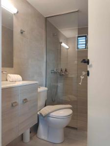 阿基欧斯尼古拉斯Irini Apartment的一间带卫生间和玻璃淋浴间的浴室