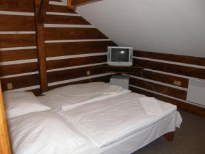 捷克布杰约维采赫尔斯基斯登波幅卡酒店的楼梯上设有一间卧室,配有一张床和一台电视