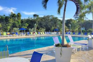 塔维涅Welcome to the Pelican Lodge !的一个带椅子的游泳池,并种植了棕榈树