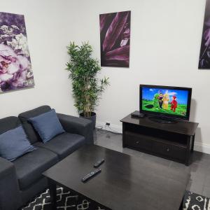布罗肯希尔City Villa 41 Blende st Broken Hill NSW 2880的带沙发和电视的客厅