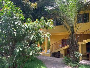 Sere KundaBoli Boli Guesthouse的前面有棕榈树的建筑