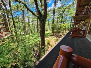 碧瑶The Forest Lodge at Camp John Hay with balcony and parking privately owned unit 272的通往树林中房屋的木道