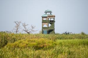 ItongaLittle Okavango Camp Serengeti, A Tent with a View Safaris的草场中间的灯塔