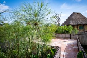 ItongaLittle Okavango Camp Serengeti, A Tent with a View Safaris的通往带草屋顶的房子的走道