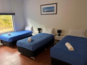 朱里恩湾朱里恩湾汽车旅馆的客房设有三张带蓝色床单的床和窗户。