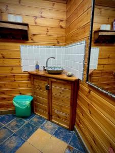 埃米瑞姆Adventure - חוויה的木墙内带水槽的浴室
