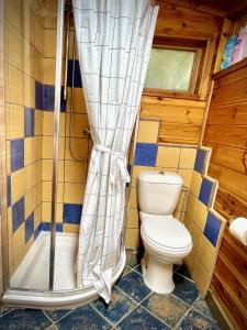 埃米瑞姆Adventure - חוויה的一间带卫生间和淋浴的浴室