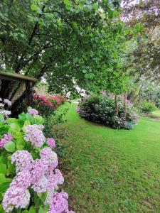 Sainte-Croix-sur-MerChambre de l'Iris的草上种着粉红色花的花园