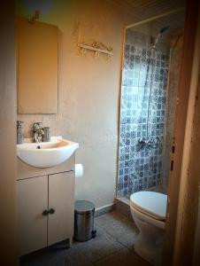 埃利尼科Sofias cottage的一间带水槽、卫生间和淋浴的浴室