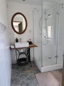 索克莱克Podgórska Odskocznia的浴室配有盥洗盆和带镜子的淋浴