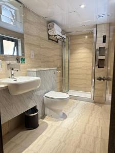 伦敦欧游者快捷酒店（大象&城堡）的浴室配有卫生间、盥洗盆和淋浴。