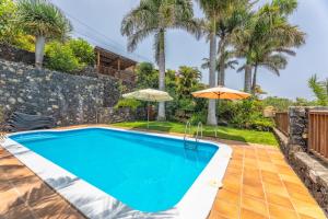 马佐Lightbooking La Morita Villa de Mazo con piscina的棕榈树别墅内的游泳池