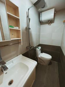 河内Cua Bac Modern Home in Central Hanoi的一间带水槽和卫生间的浴室