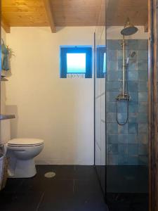 阿尔热祖尔Quintinha Boheme…的一间带卫生间和淋浴的浴室
