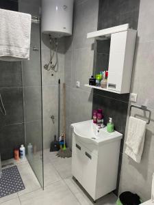 大格拉迪什泰Apartmani K&V的带淋浴和白色盥洗盆的浴室