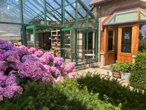 亚贝克塔尼美食度假屋的前面有紫色花的温室